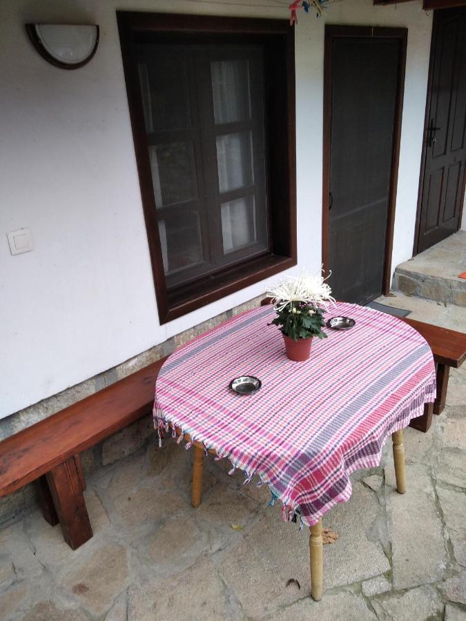 Razsukanova House , Разсукановата Къща Elena Buitenkant foto